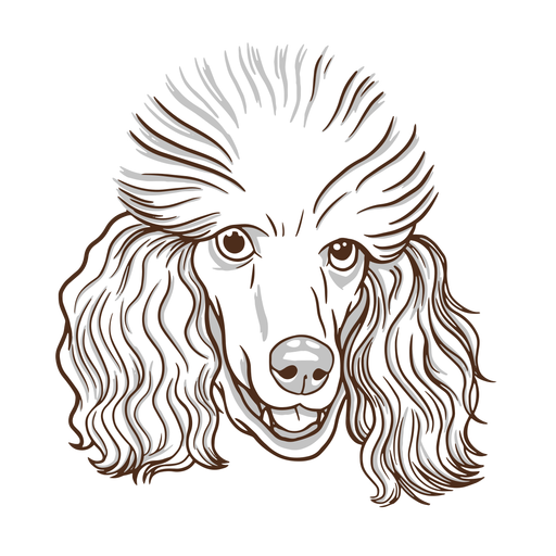 C?o poodle desenhado ? m?o Desenho PNG