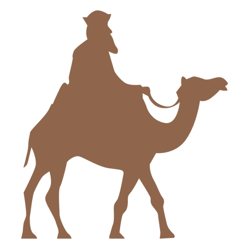 Silhueta de homem cavalgando camelo