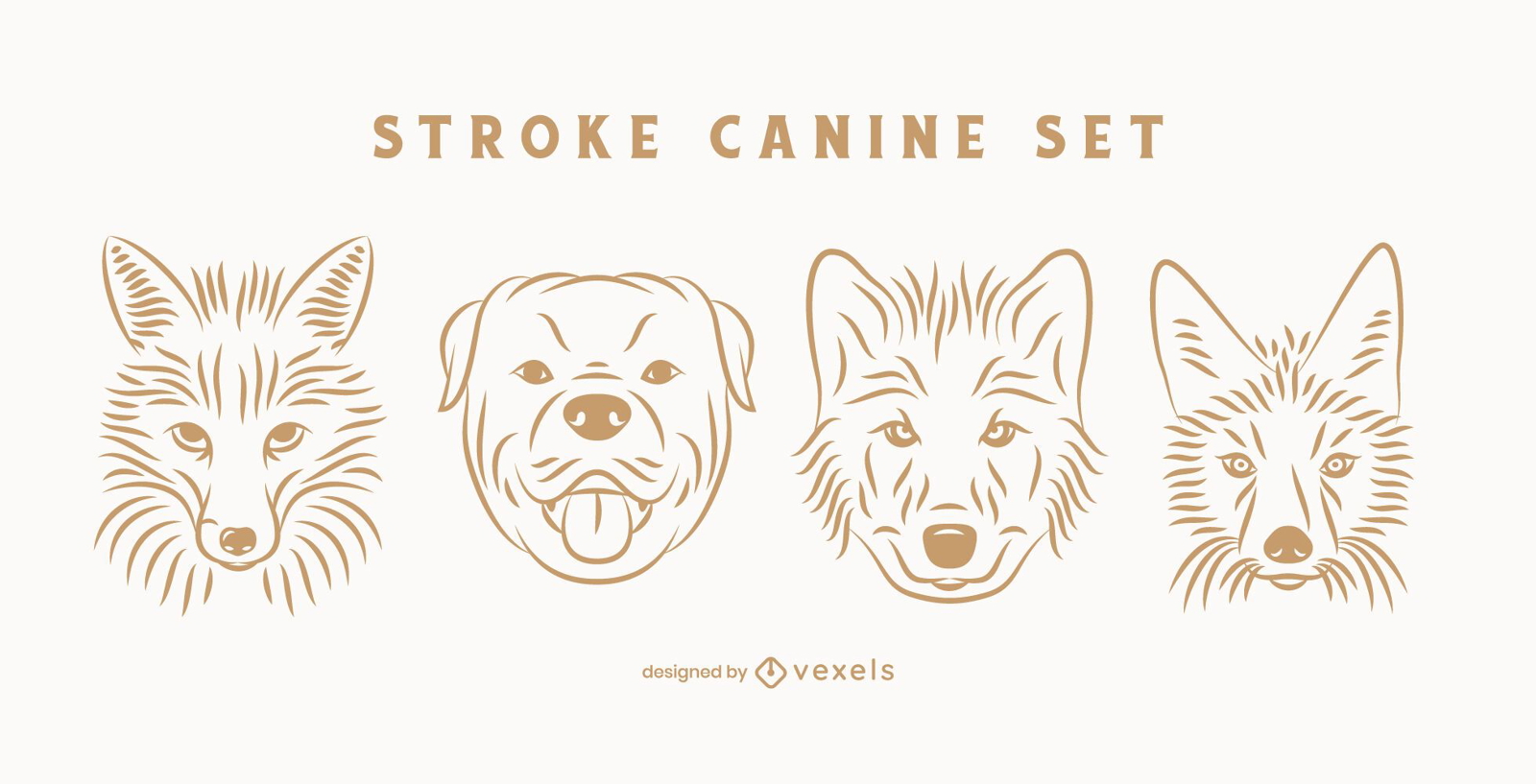 Stroke canine set 