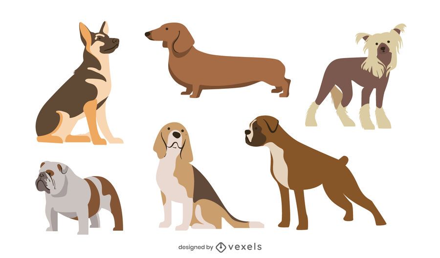 Pacote de raças de cães de design plano Pacote de raças de cães de design plano