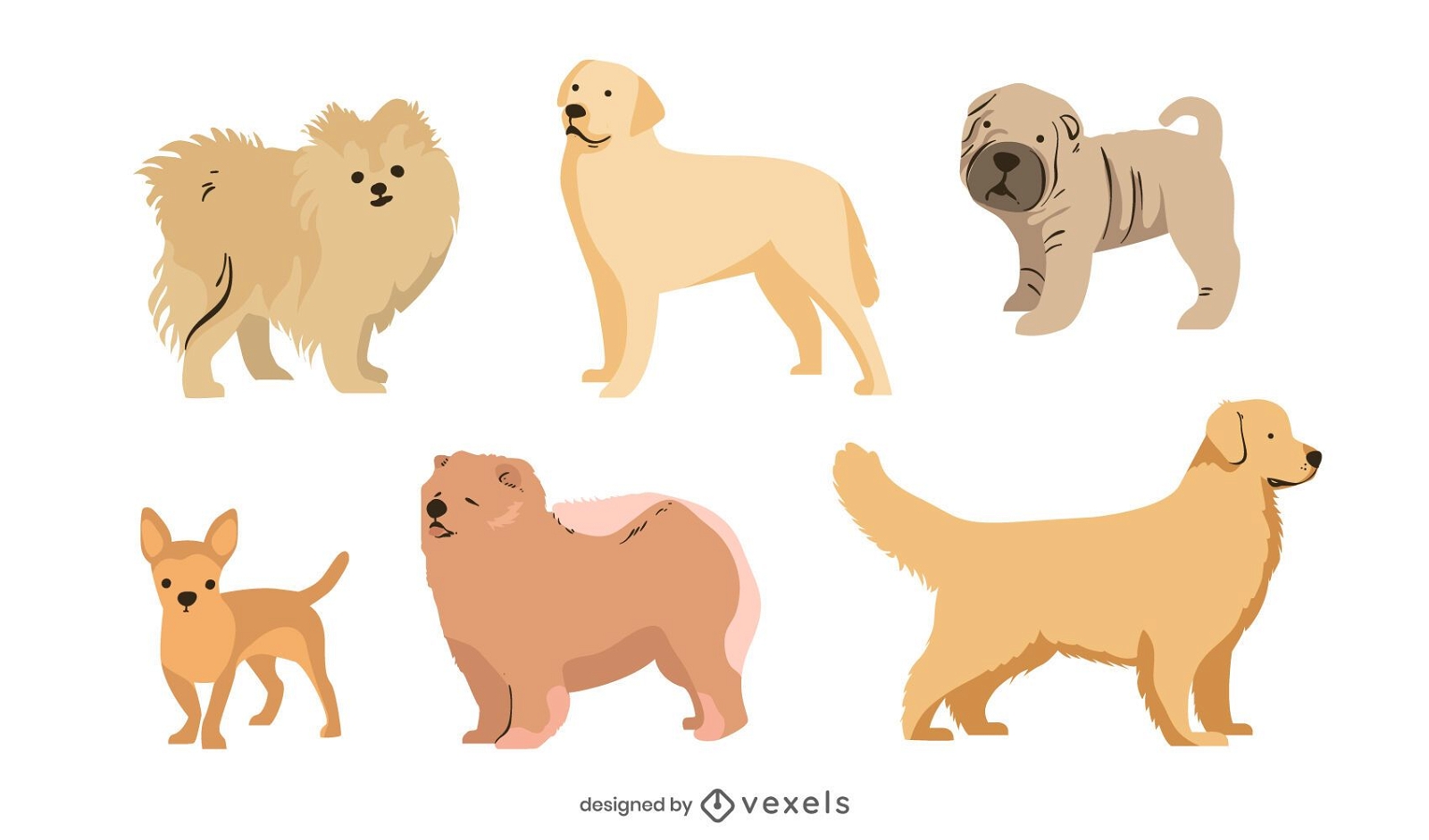 Conjunto de raza de perro de estilo plano