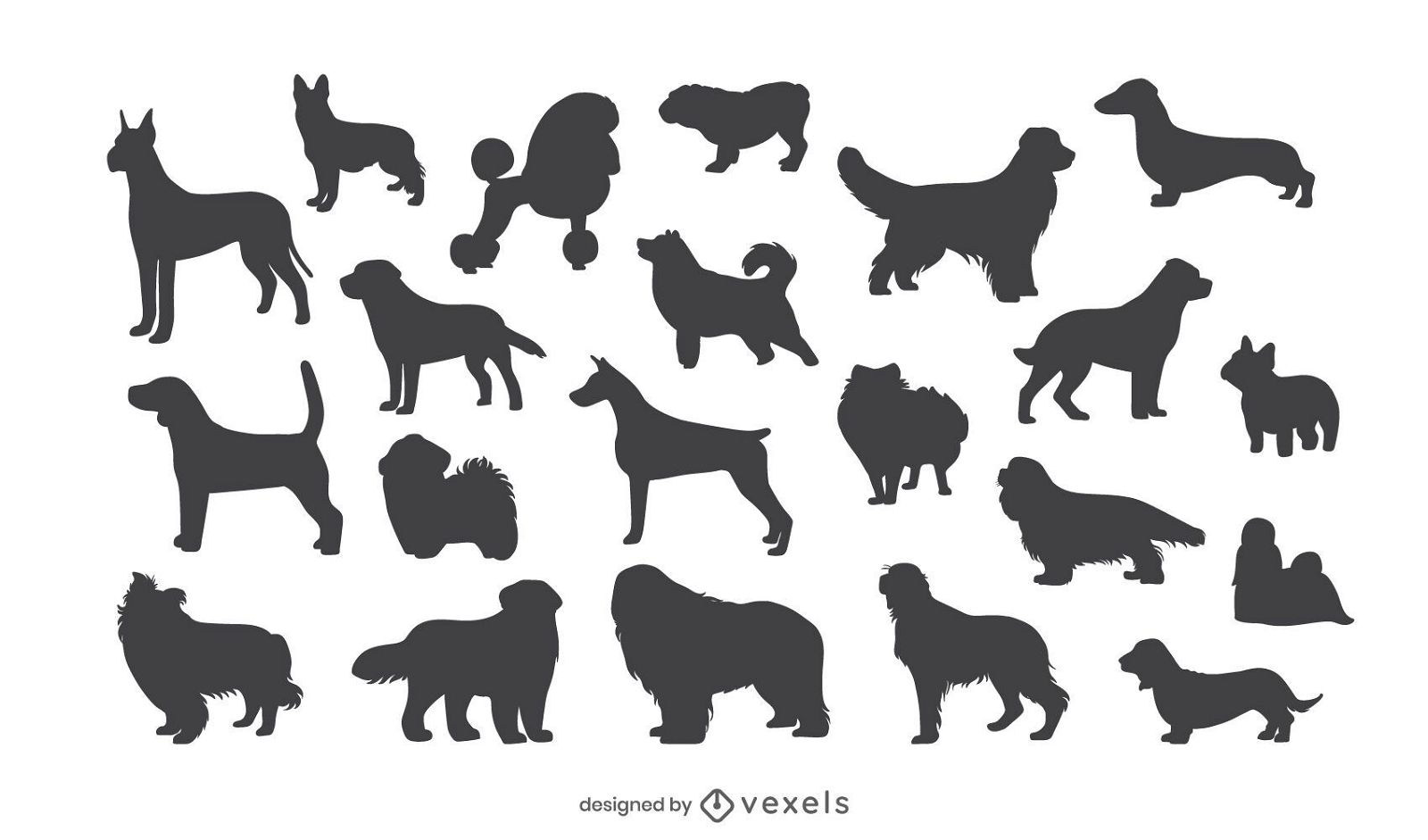 Conjunto de silhueta de raças de cães