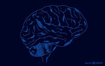 Transparent brain illustration design Transparent brain illustration design