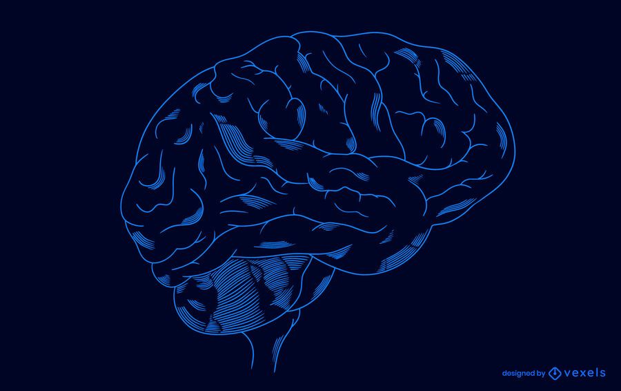 Diseño de ilustración de cerebro transparente Diseño de ilustración de cerebro transparente
