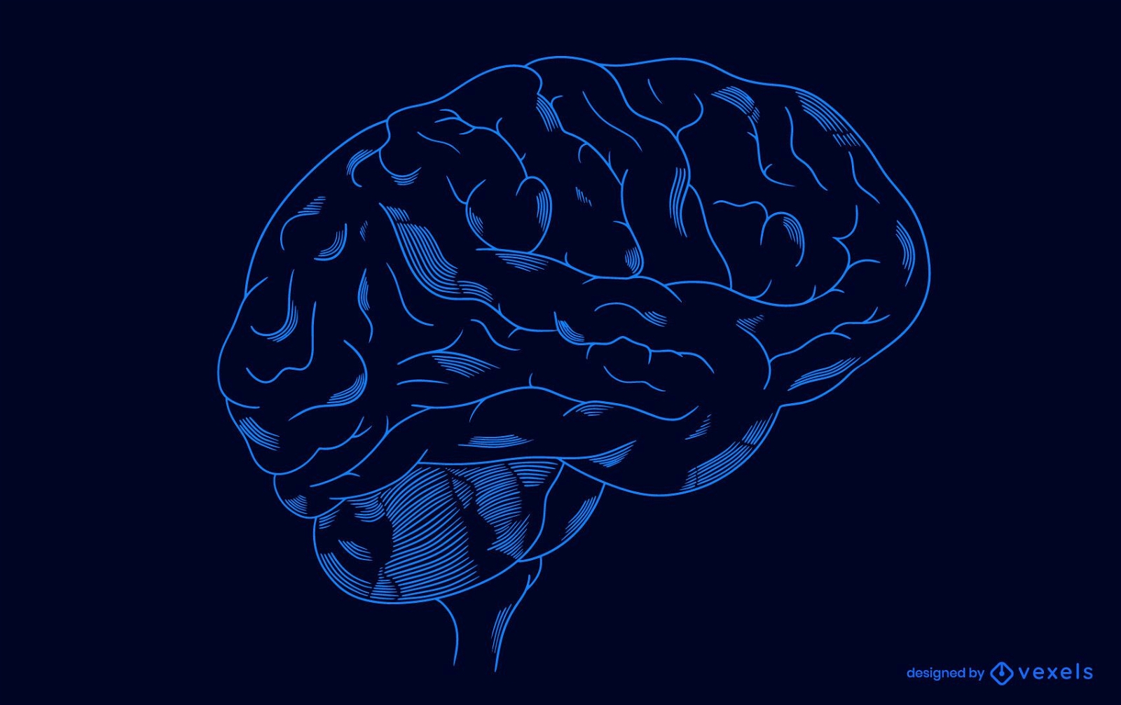 Diseño de ilustración de cerebro transparente