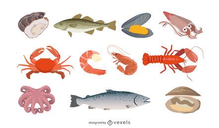 Conjunto de ilustración de mariscos Conjunto de ilustración de mariscos