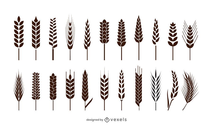 Wheat spikes icon set Wheat spikes icon set