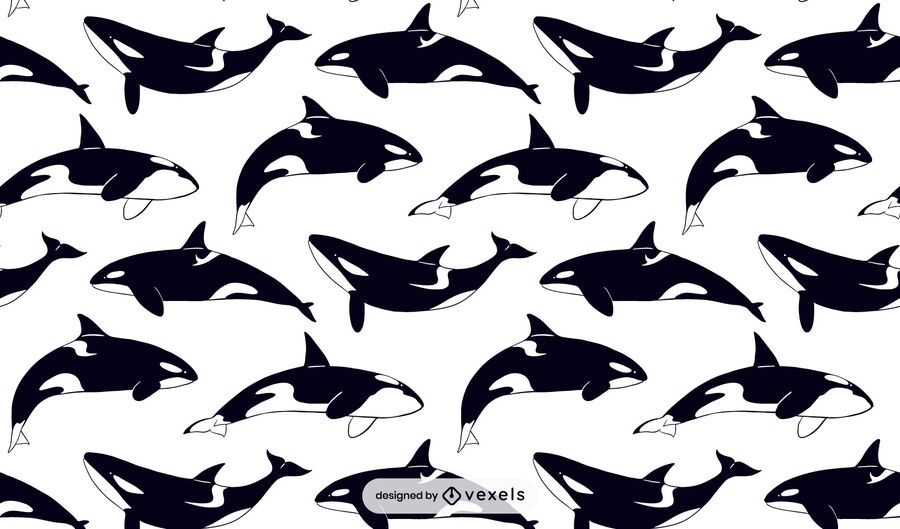 Killer whale pattern design Killer whale pattern design