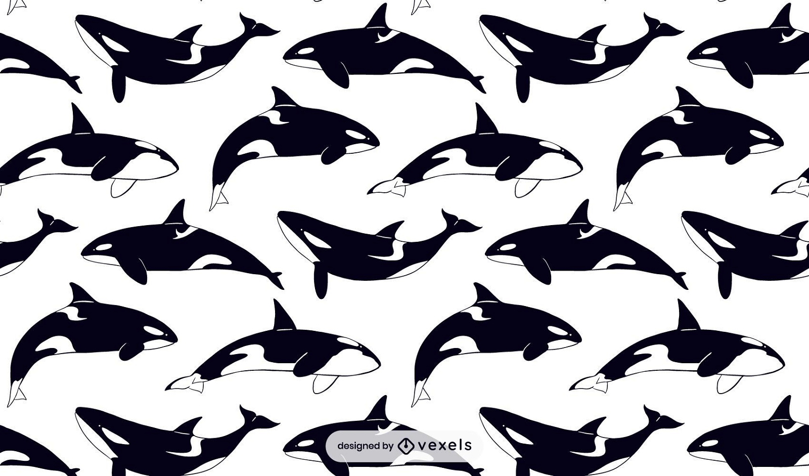 Killer whale pattern design