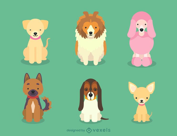 Conjunto de ilustração de cachorros de raças de cães Conjunto de ilustração de cachorros de raças de cães