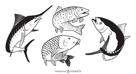 Fish illustration set design