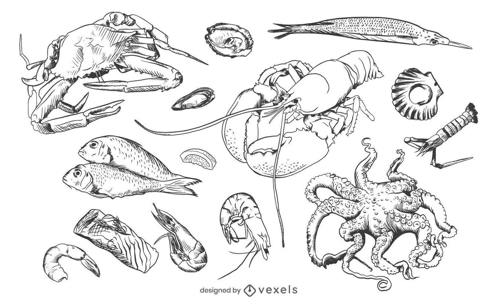 Seafood hand drawn set