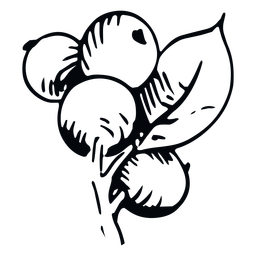 Bayas bayas de ilustración en blanco y negro Diseño PNG