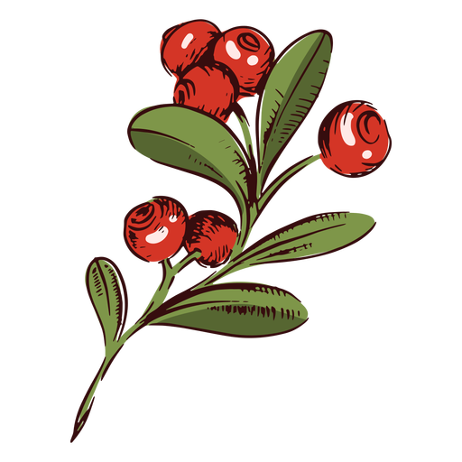 Cranberries Branch Illustration Thanksgiving PNG-Design