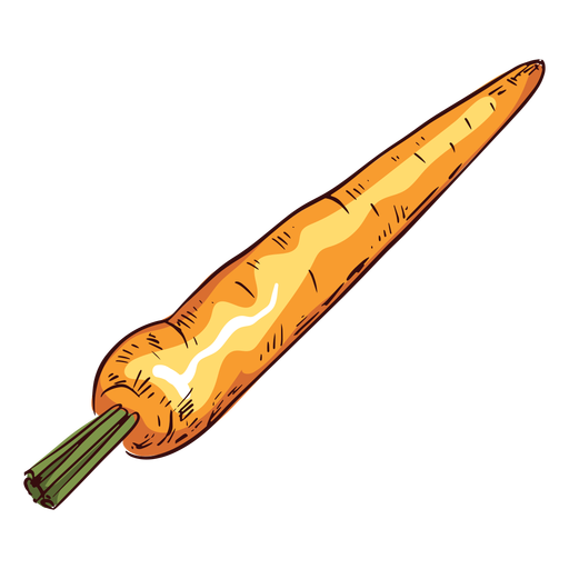 Zanahoria detallada zanahoria ilustración Diseño PNG