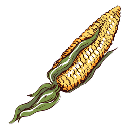 Ilustração detalhada de milho milho Desenho PNG Transparent PNG