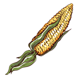 Ilustración de maíz detallada maíz Diseño PNG