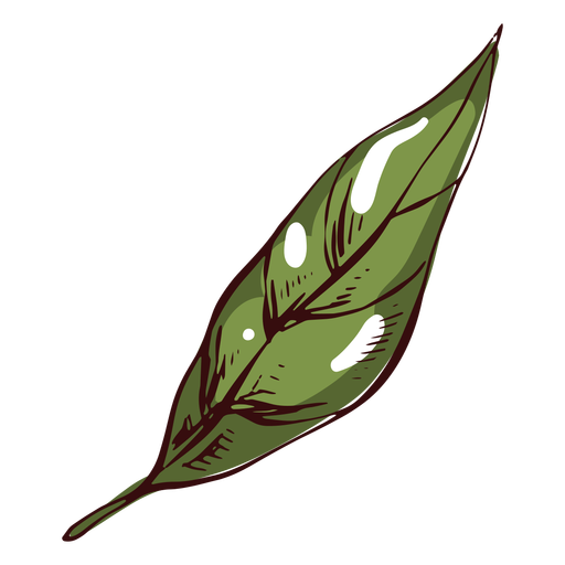 Detailed green leaf illustration leaf PNG Design