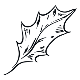 Detailed leaf black and white illustration leaf PNG Design