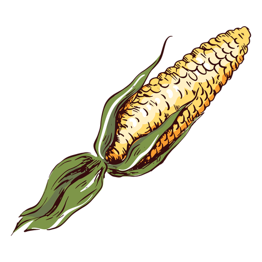 Ilustração detalhada de milho milho Desenho PNG