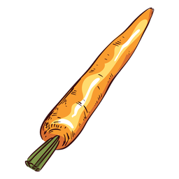 Ilustração detalhada de cenoura laranja cenoura Desenho PNG