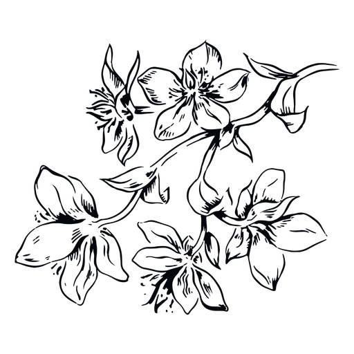 Blumen verzweigen Schwarzweiss-Illustrationsblumen PNG-Design
