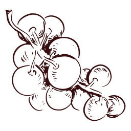 Rama de uvas uvas dibujadas a mano Diseño PNG