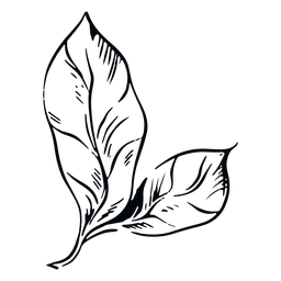 Blattschwarzweiss-Illustrationsblatt PNG-Design