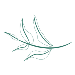 Rama de hojas sin color hojas dibujadas a mano. Diseño PNG
