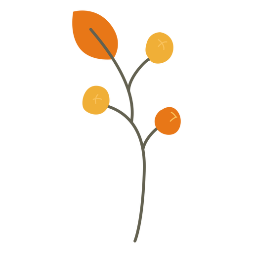 Hojas decoración rama hojas planas Diseño PNG