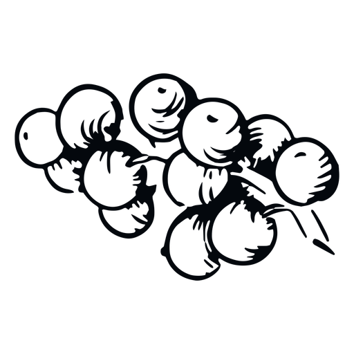 Mistelbeeren Schwarzweiss-Mistel PNG-Design