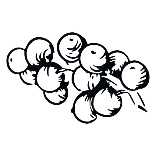 Mistletoe berries black and white mistletoe - Transparent PNG & SVG