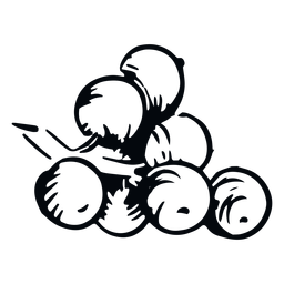 Visco bagas ilustração preto e branco visco Desenho PNG