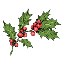 Mistletoe branch illustration mistletoe PNG Design