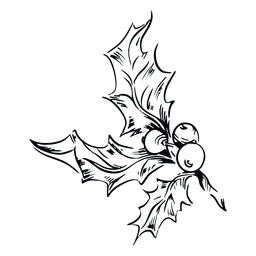 Muérdago hojas ilustración en blanco y negro muérdago Diseño PNG