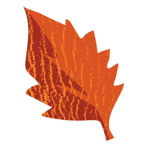 Folha pontiaguda folha plana Desenho PNG