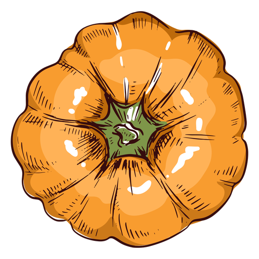 Pumpkin viewed from above illustration pumpkin PNG Design