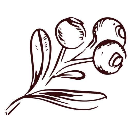 Thanksgiving cranberries branch hand drawn thanksgiving PNG Design