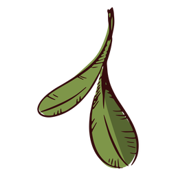 Hojas de ilustración de decoración de dos hojas Diseño PNG