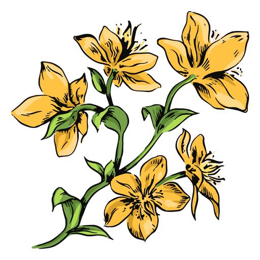 Gelbe Blumen verzweigen Illustrationsblumen PNG-Design