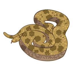 Anaconda Snake Flat Design PNG & SVG Design For T-Shirts