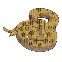 Diseño plano de serpiente anaconda