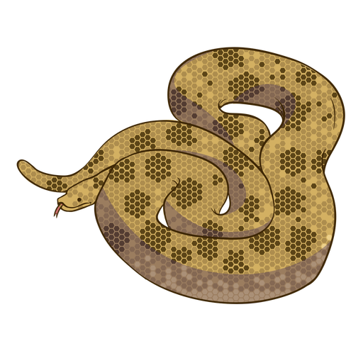 Flaches Design der Anaconda-Schlange PNG-Design