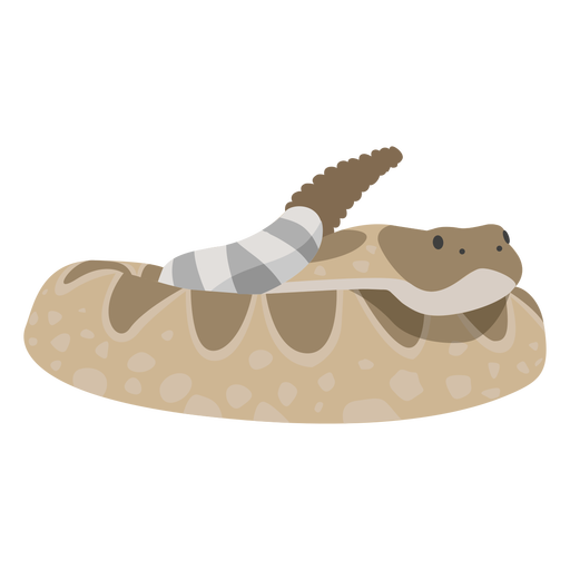 Coiled Snake Flat Deesign PNG-Design