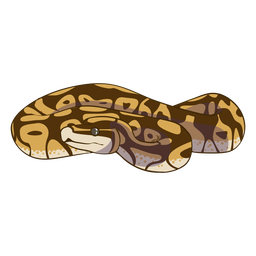 Aufgerollte Vorderansicht Schlange Flach Transparente Png Svg Vektor