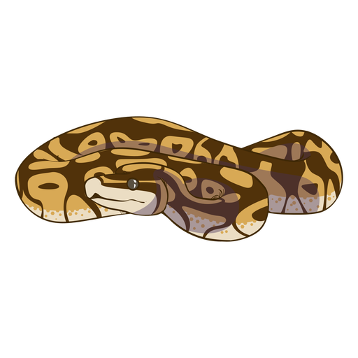 Vista frontal enrollada serpiente plana Diseño PNG