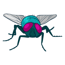 Colorful Fly Design Illustration PNG & SVG Design For T-Shirts