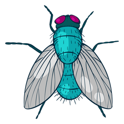 Ilustração colorida para cima da mosca Desenho PNG