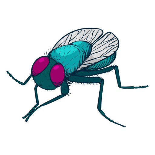 Fliege bunte Illustration PNG-Design