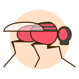 Icono de mosca insecto Diseño PNG